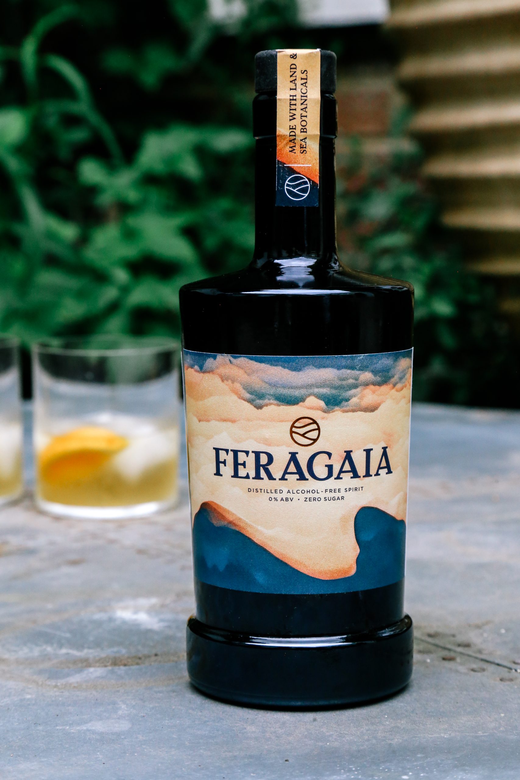 You are currently viewing Mocktails and Dreams