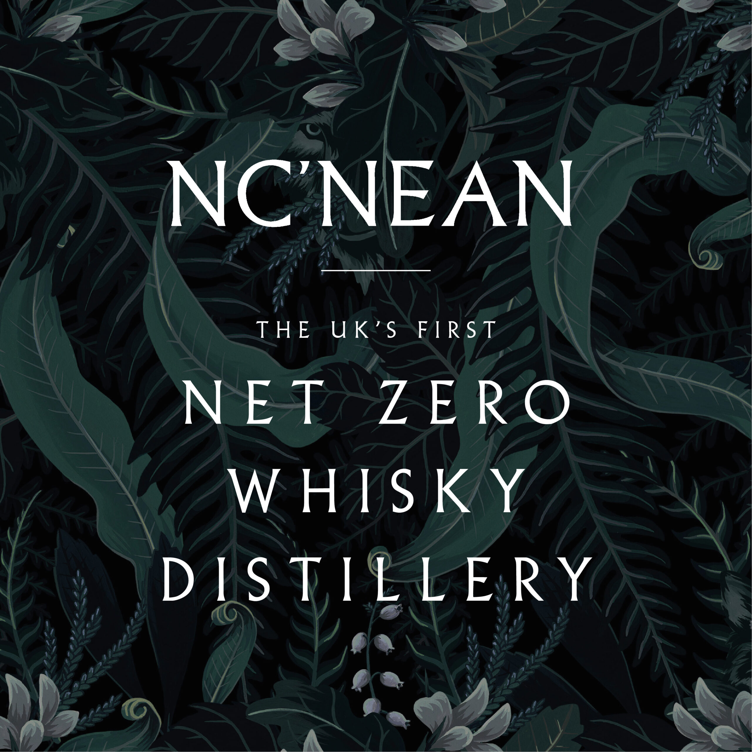 You are currently viewing Drinks portfolio expansion