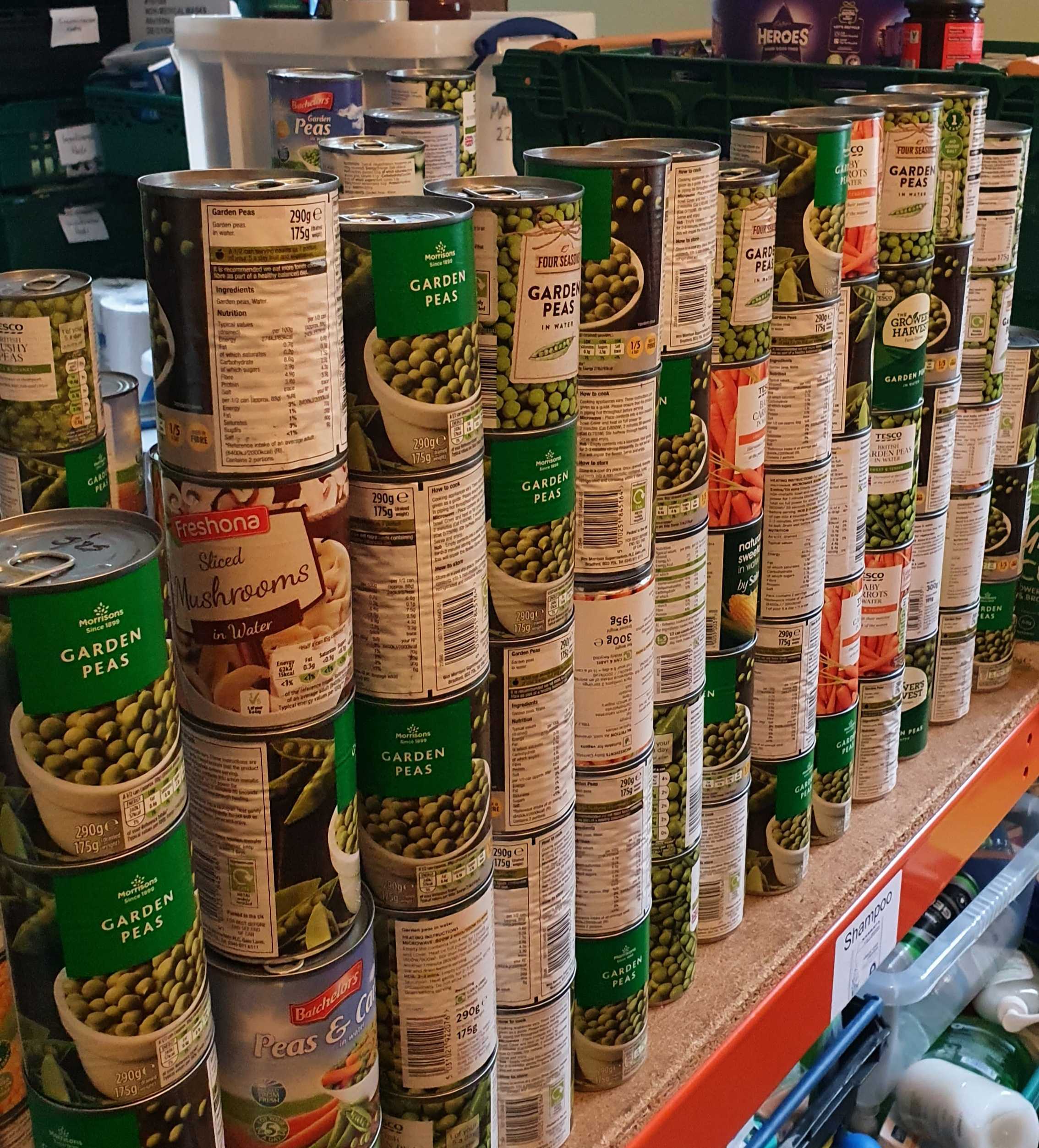 You are currently viewing Wild Card Purpose Days