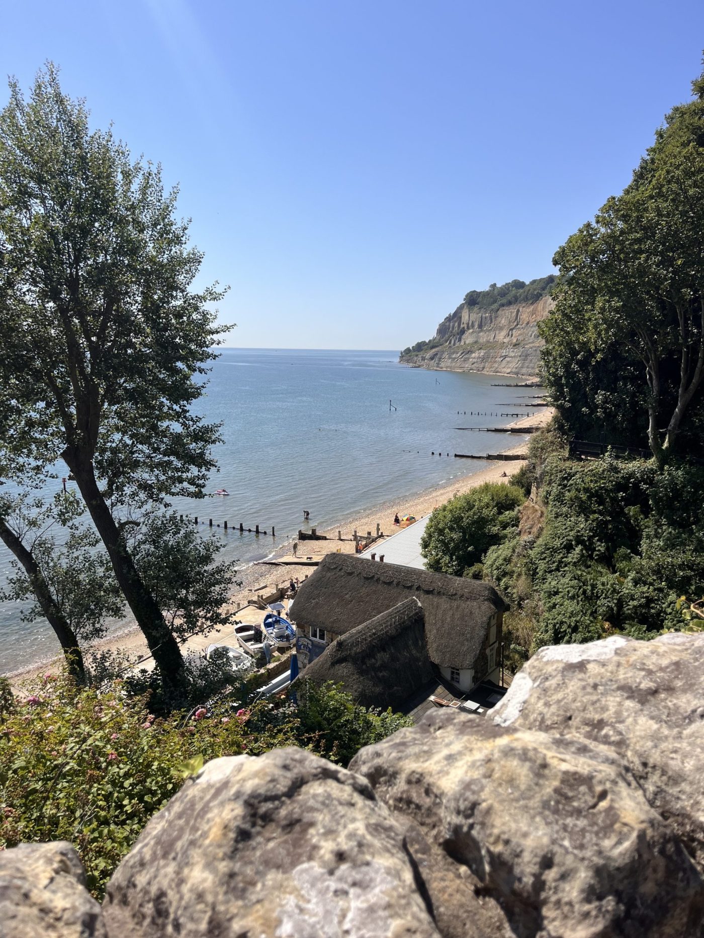 You are currently viewing Resilience at Wild Card