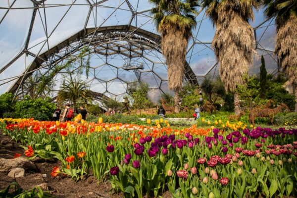 Eden Project – Driving Deeper Connection
